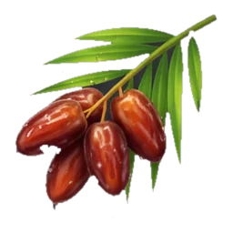 Dates