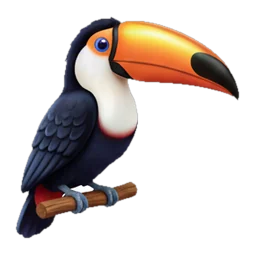 Toucan